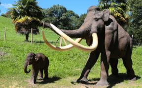 Afrique du Sud top 3 des activités à faire avec les enfants