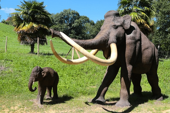 Afrique du Sud top 3 des activités à faire avec les enfants