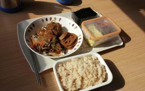 boites plastique alimentaire
